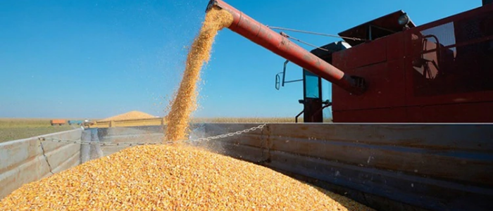 Prevén un moderado repunte de la economía con menor inflación para fin de año